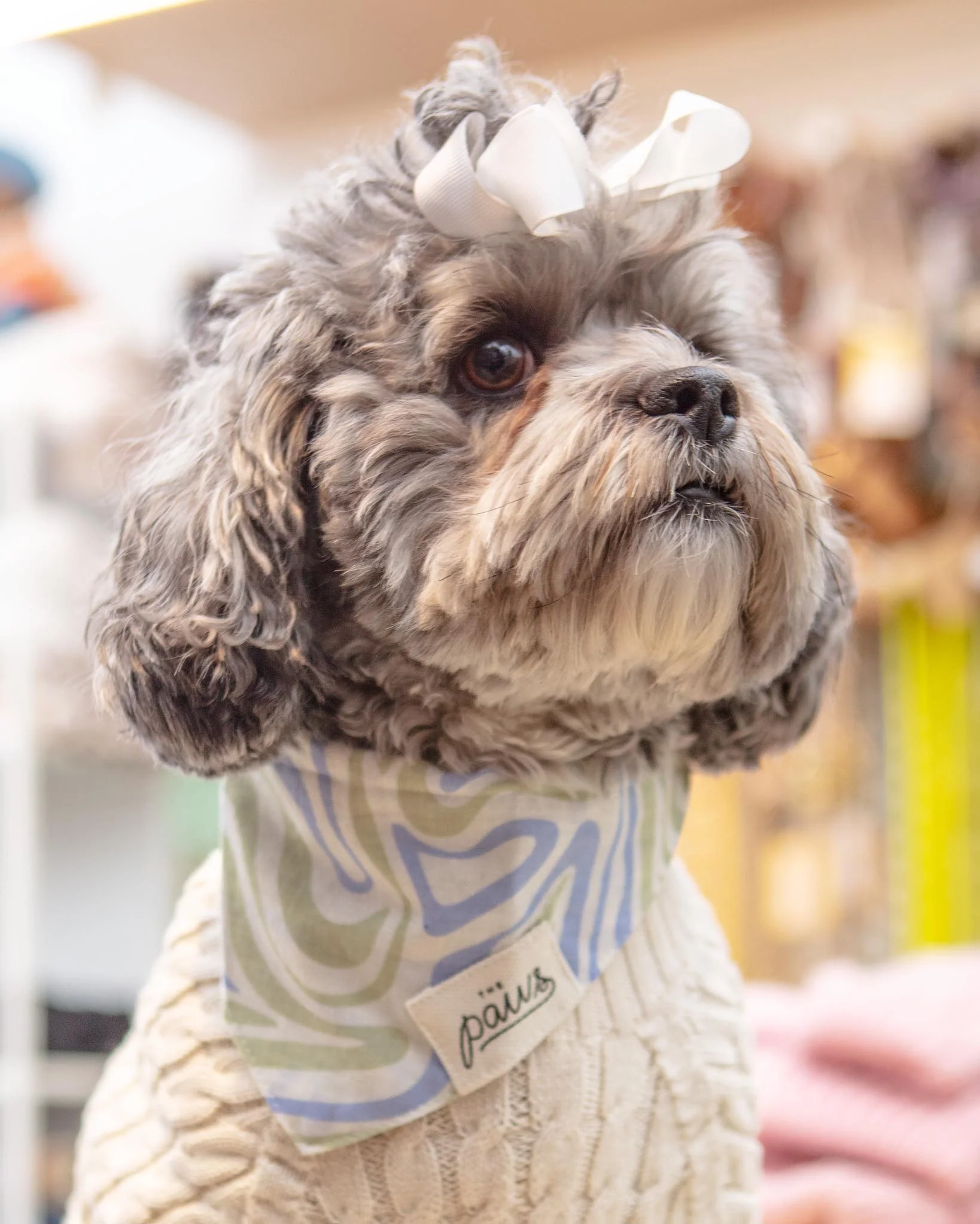 Yeah Baby Dog Bandana (CLEARANCE) - Image 3