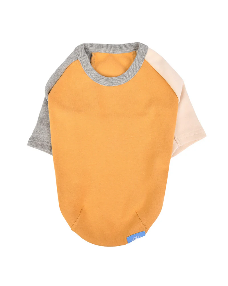 Color Block Dog T-Shirt in Yellow - Image 2