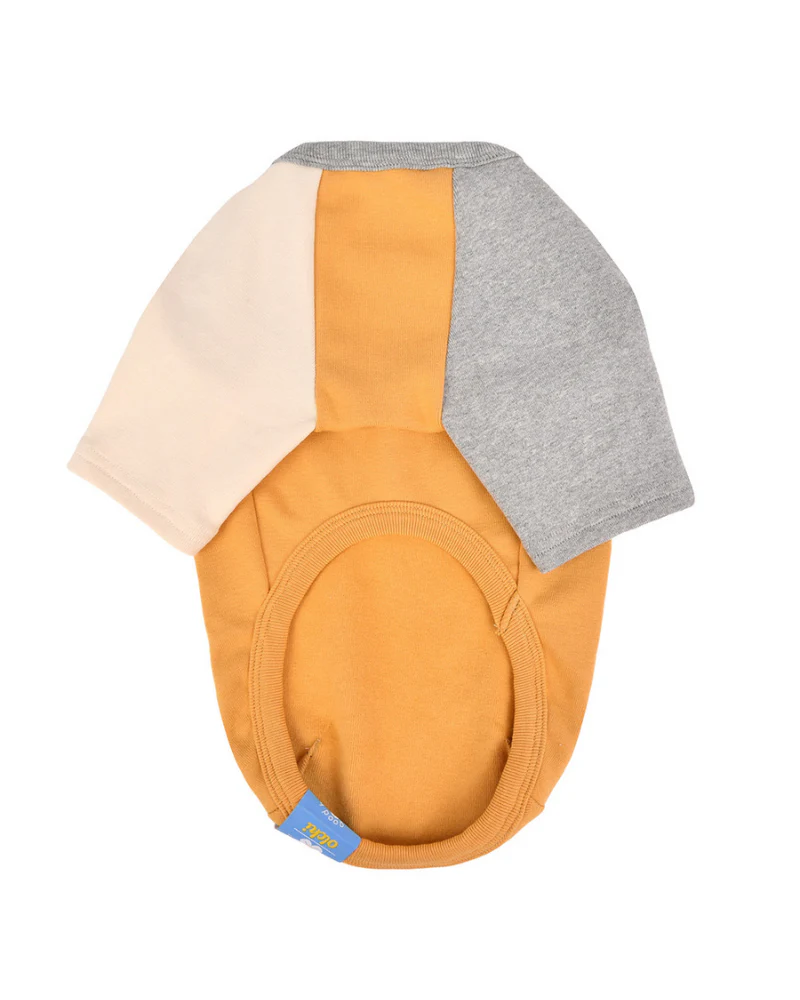 Color Block Dog T-Shirt in Yellow - Image 3