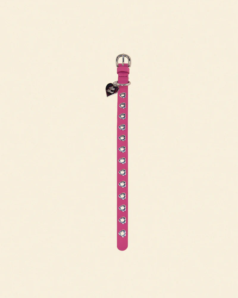 You Mean The World To Me Dog Collar in Peony - Image 4