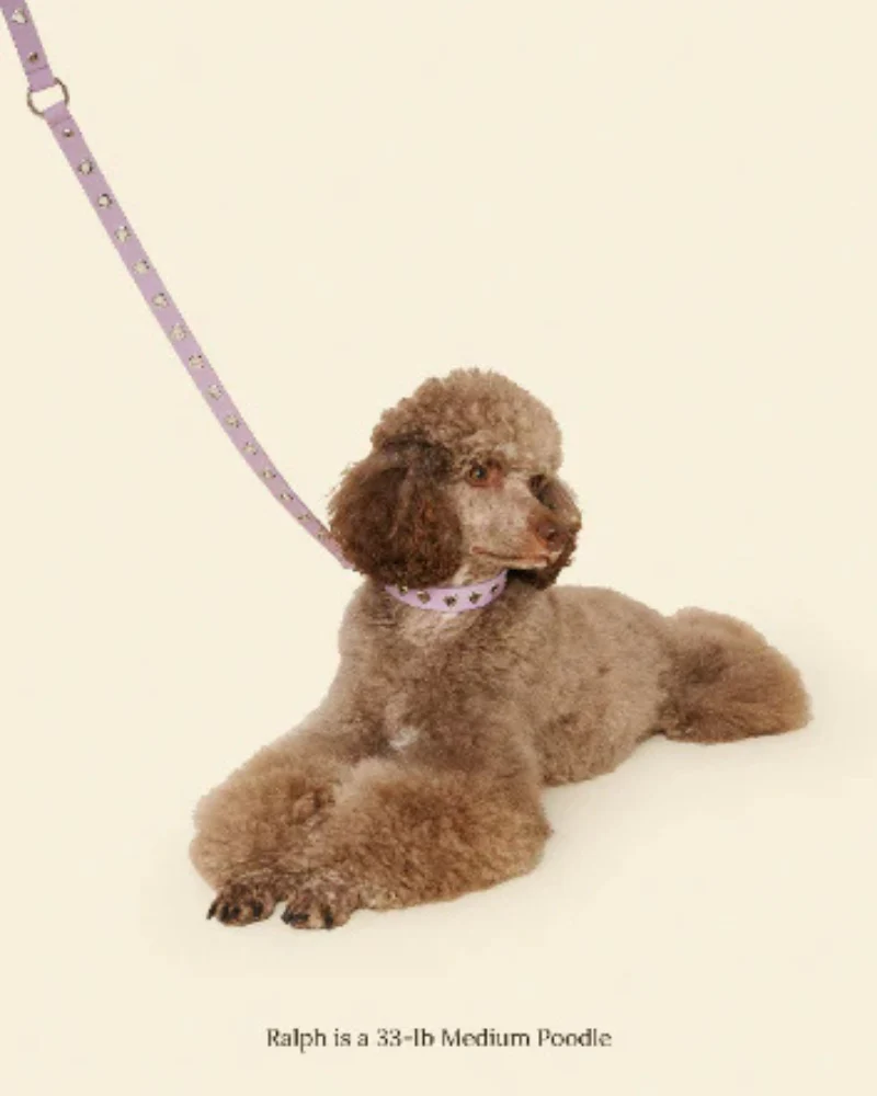 You Mean the World To Me Dog Leash in Lilac - Image 2
