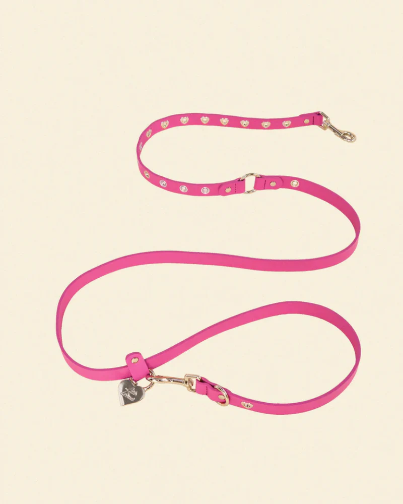 You Mean the World To Me Dog Leash in Peony
