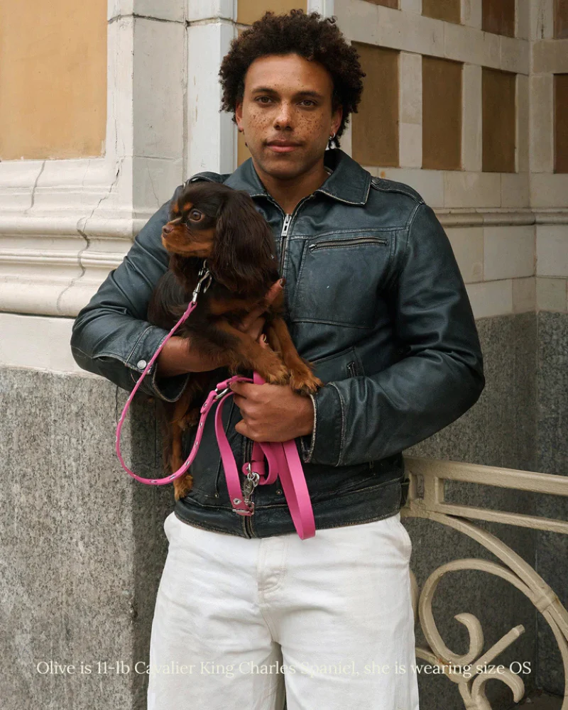 You Mean the World To Me Dog Leash in Peony - Image 3