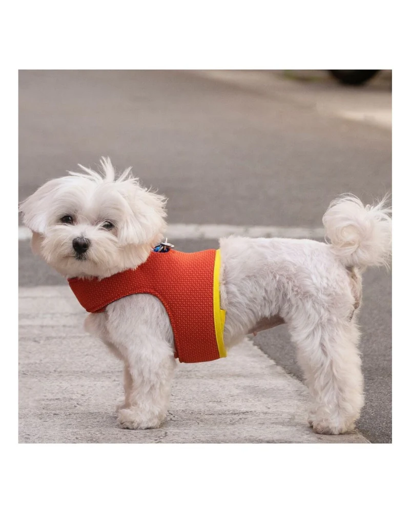 Yuki Mesh Dog Harness in Orange (Made in Spain) (FINAL SALE) - Image 4