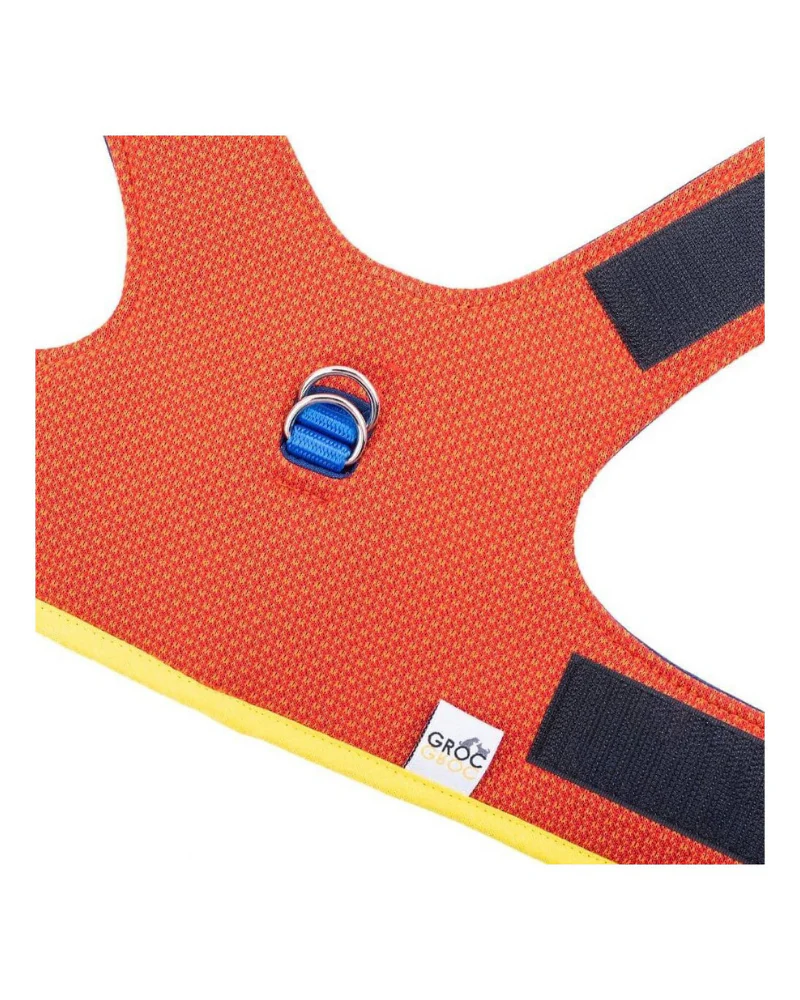 Yuki Mesh Dog Harness in Orange (Made in Spain) (FINAL SALE) - Image 6