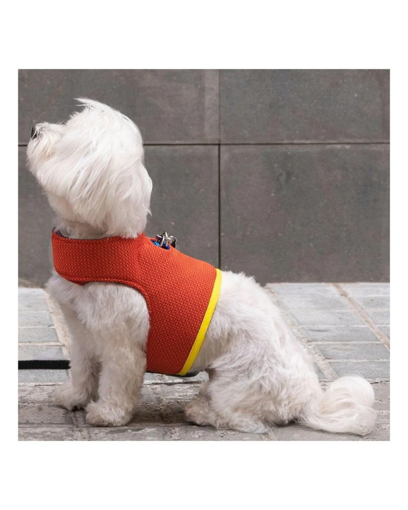 Yuki Mesh Dog Harness in Orange (Made in Spain) (FINAL SALE) - Image 8