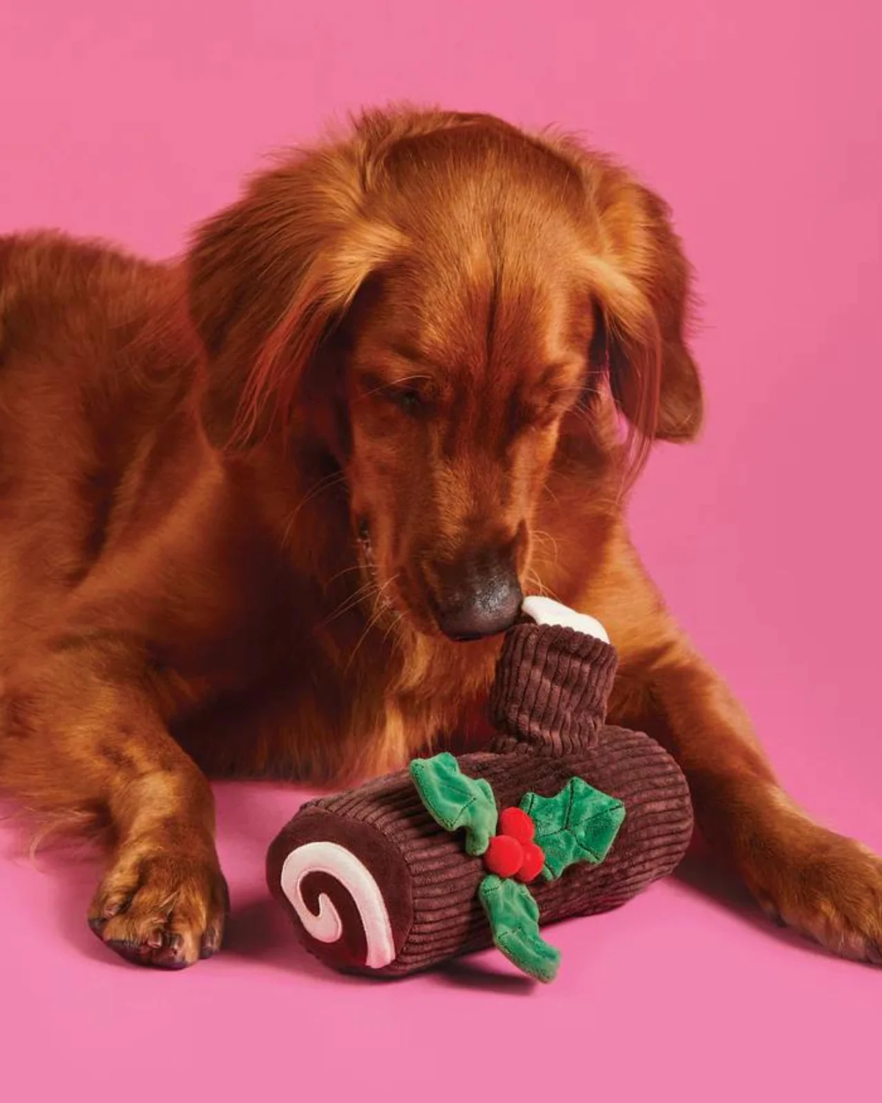 Yule Log Interactive Snuffle Howliday Dog Toy - Image 2