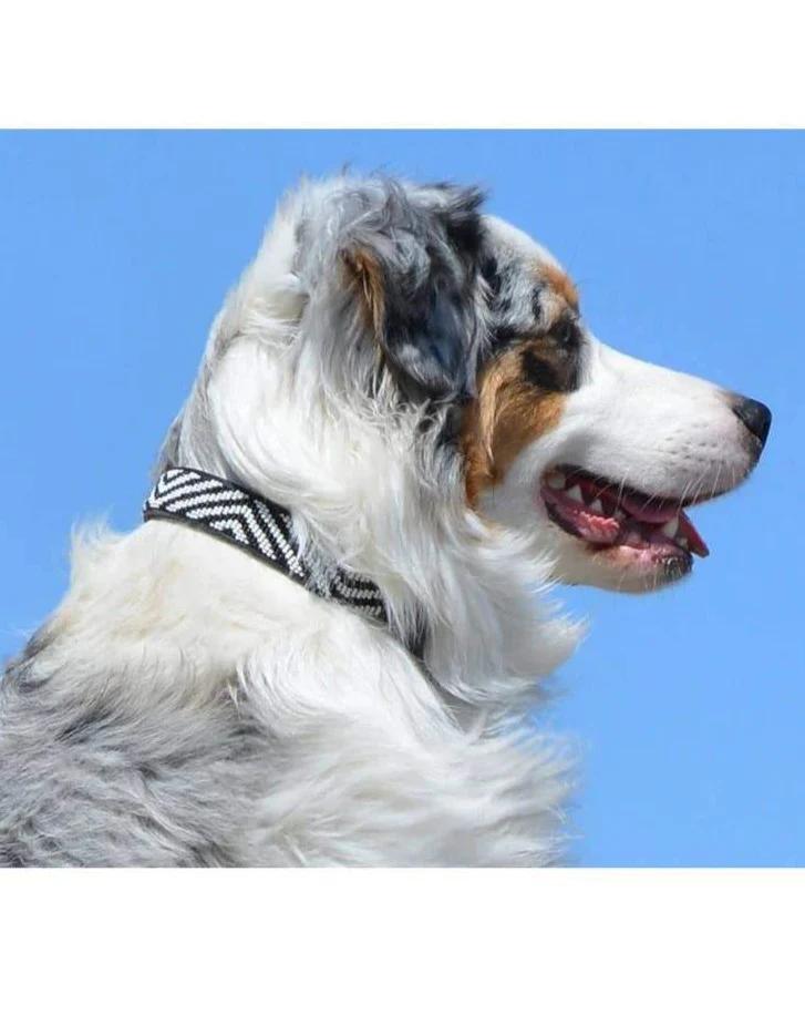 Zebra Pattern Black & White Beaded Dog Collar<br>(FINAL SALE) - Image 6