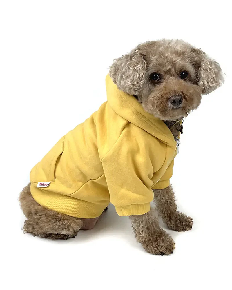 Zip Up Dog Hoodie in Mustard Yellow (FINAL SALE) - Image 3