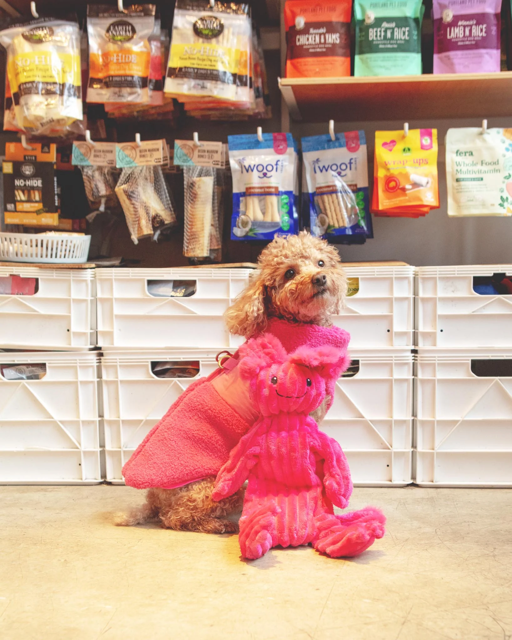 Zip Up Sherpa Dog Harness Vest in Pink (FINAL SALE) - Image 8