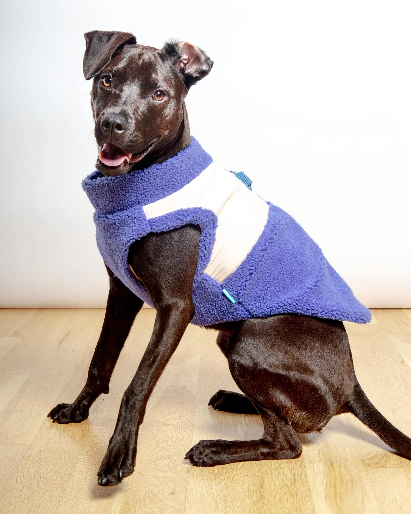 Zip-Up Sherpa Dog Vest in Moonstone Blue (FINAL SALE)