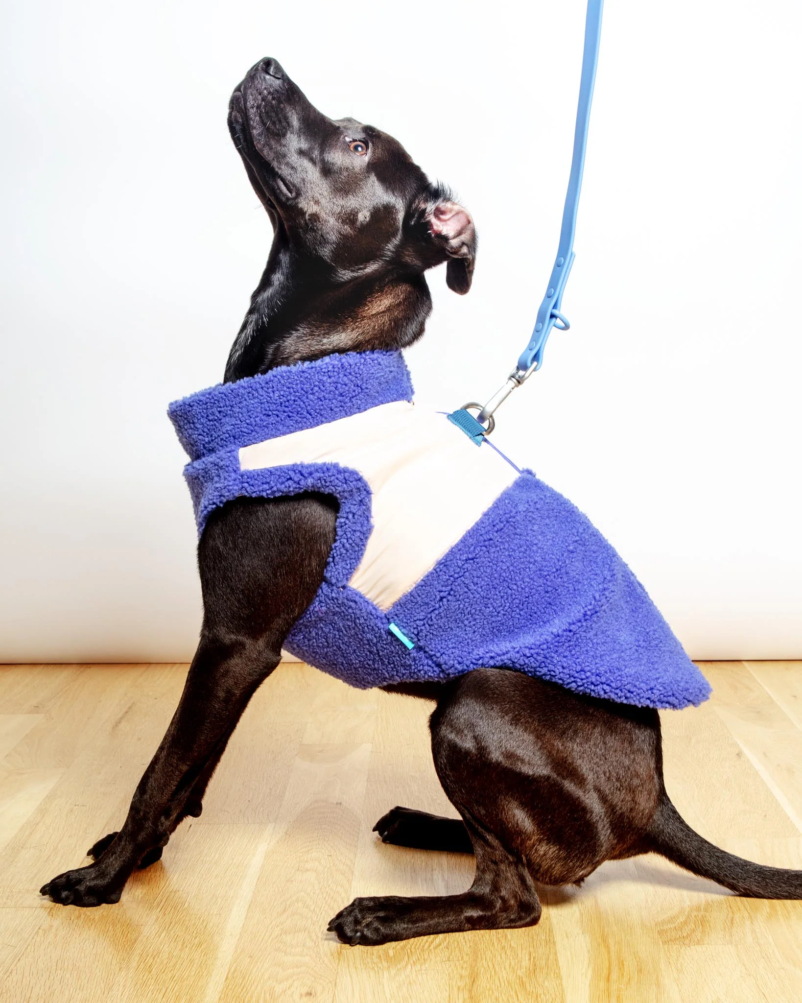 Zip-Up Sherpa Dog Vest in Moonstone Blue (FINAL SALE) - Image 2
