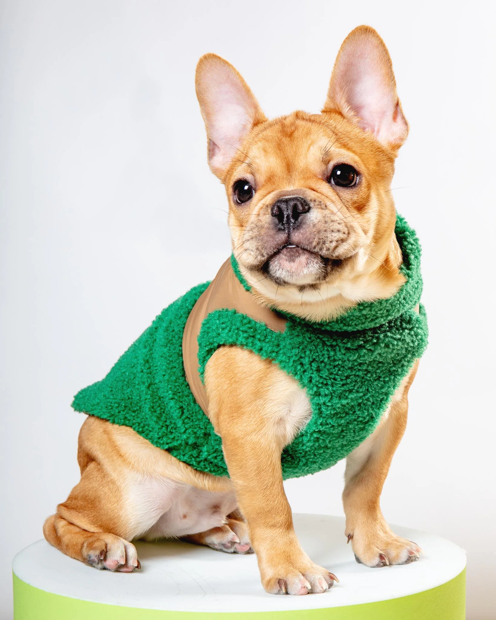 Zip-Up Sherpa Harness Vest in Forest Green - Image 5