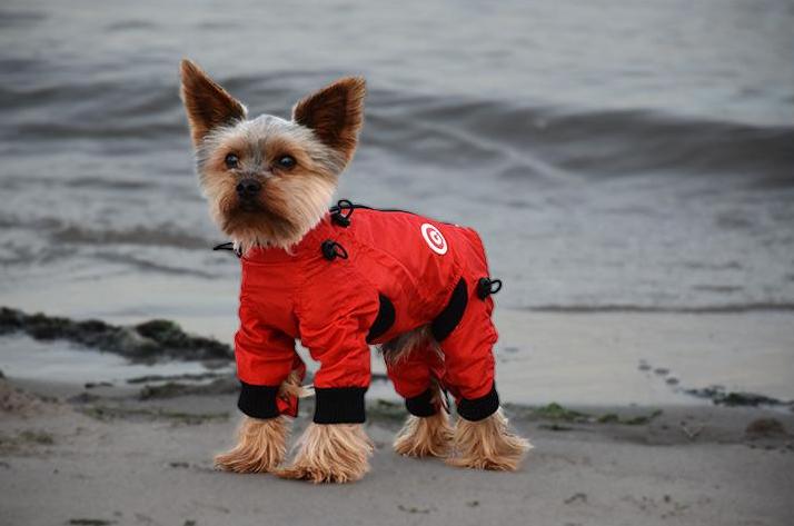 ZIPPY DYNAMICS | Full Body Suit in Red - Image 2