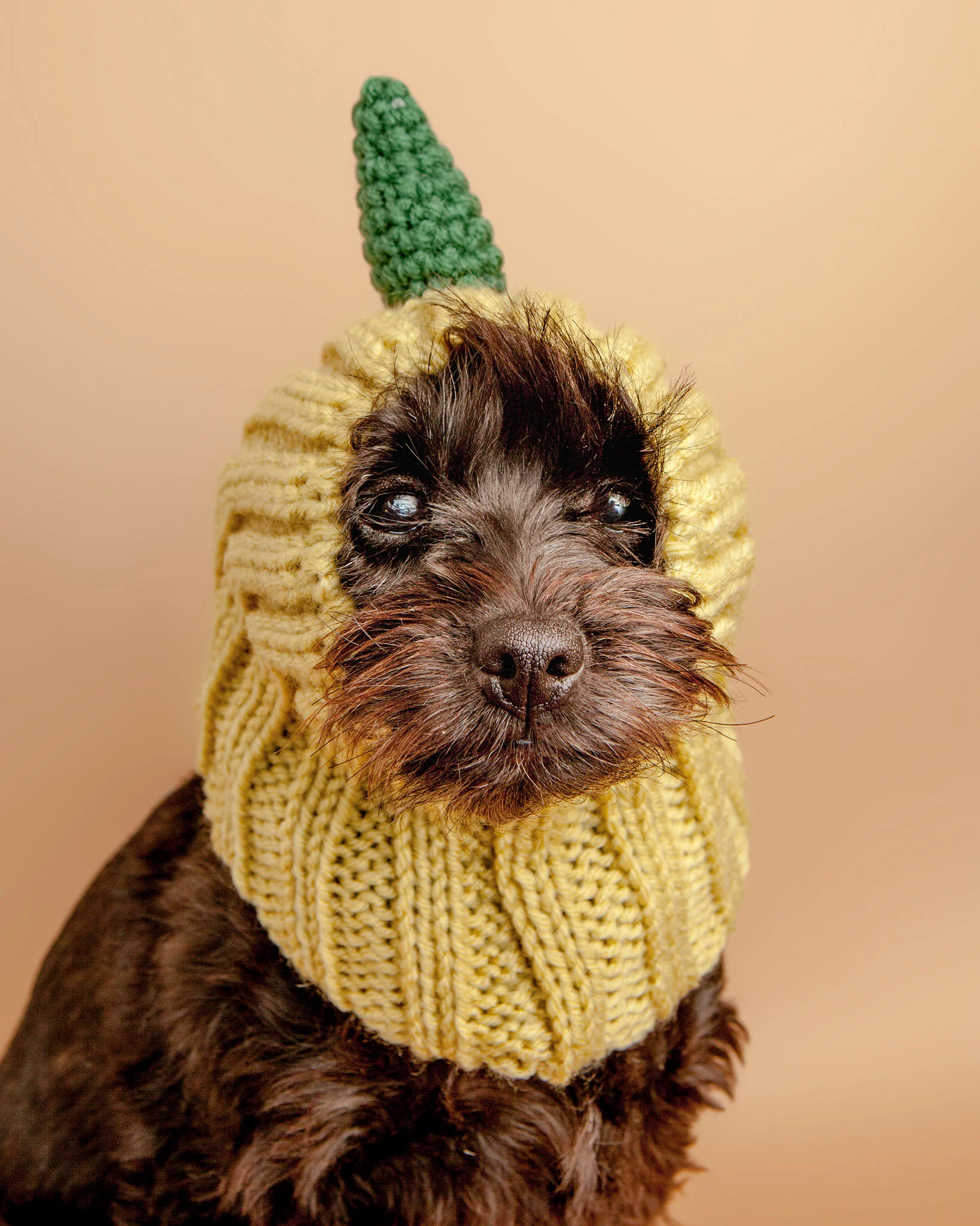 Knit Dinosaur Dog Snood (FINAL SALE) - Image 2