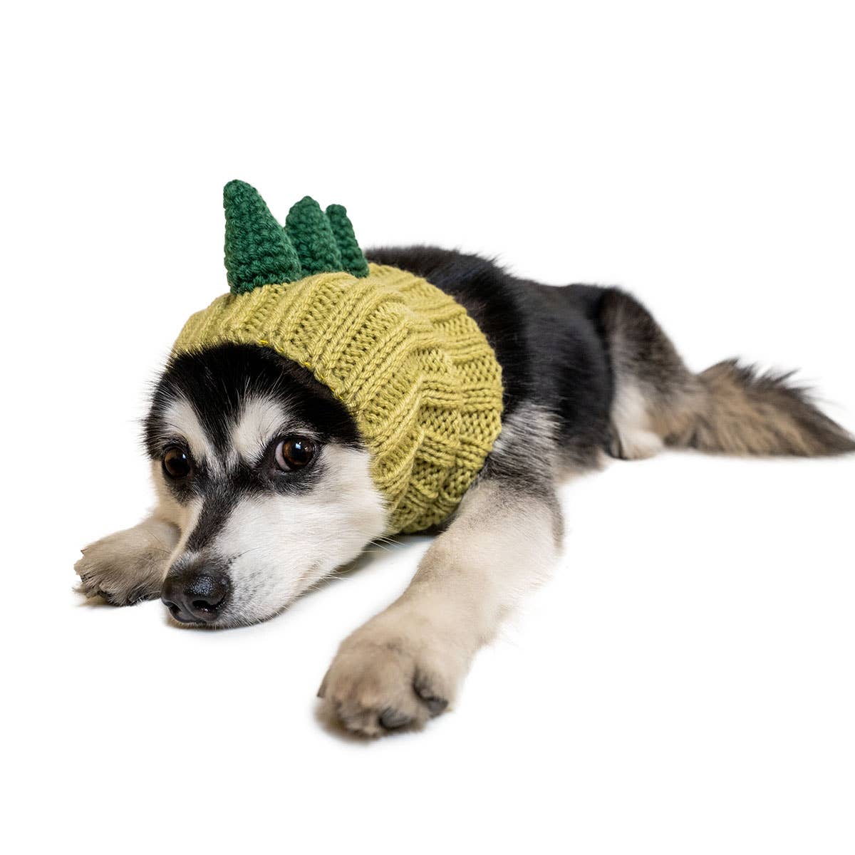 Knit Dinosaur Dog Snood (FINAL SALE) - Image 8