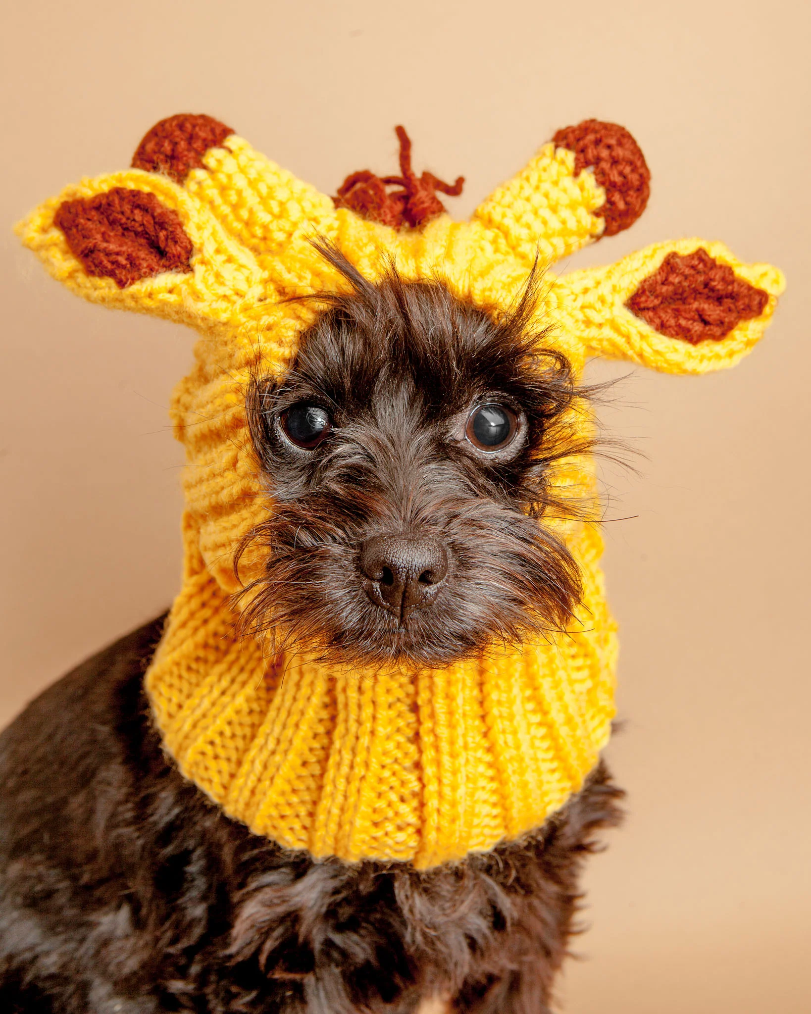 Knit Giraffe Dog Snood (FINAL SALE)