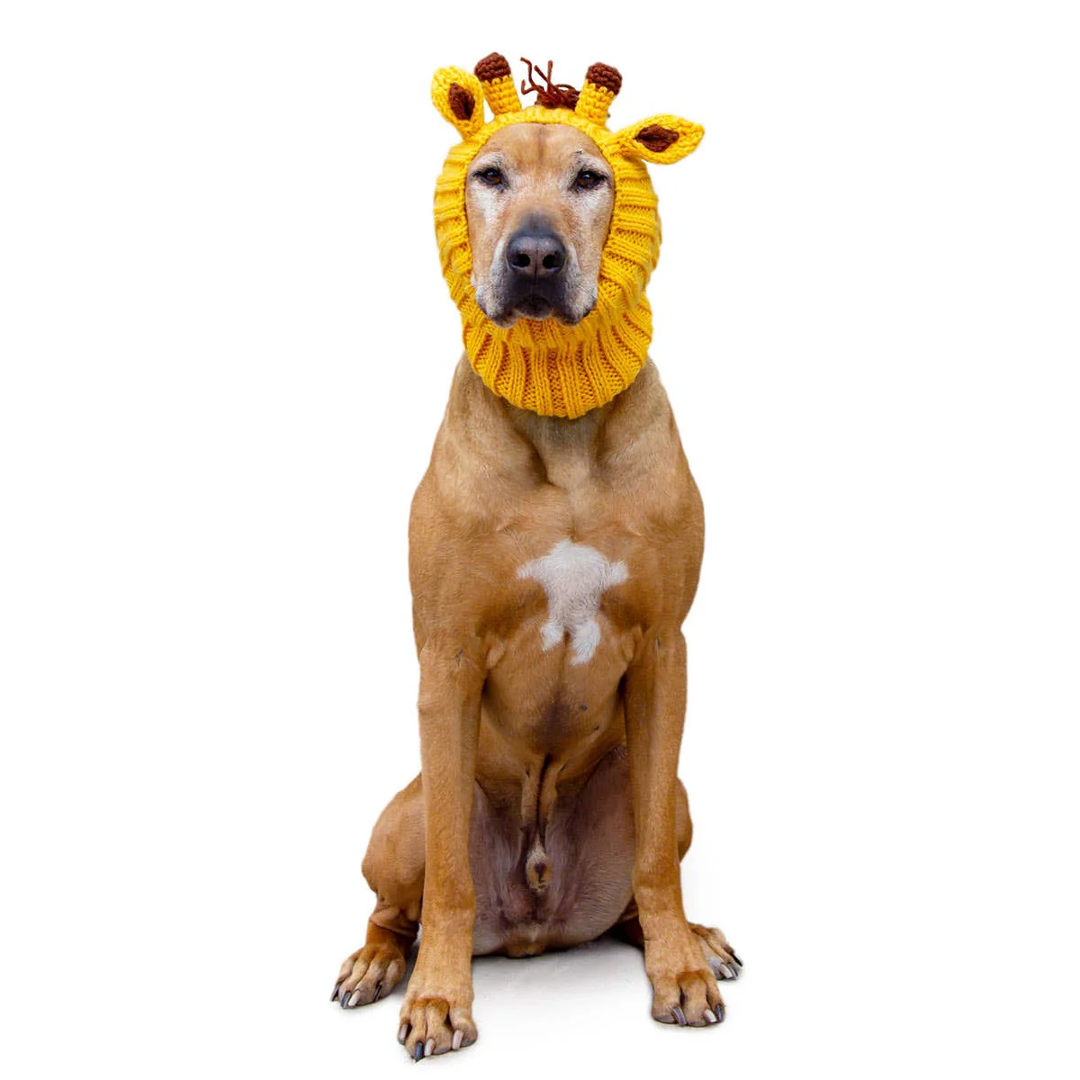 Knit Giraffe Dog Snood (FINAL SALE) - Image 8