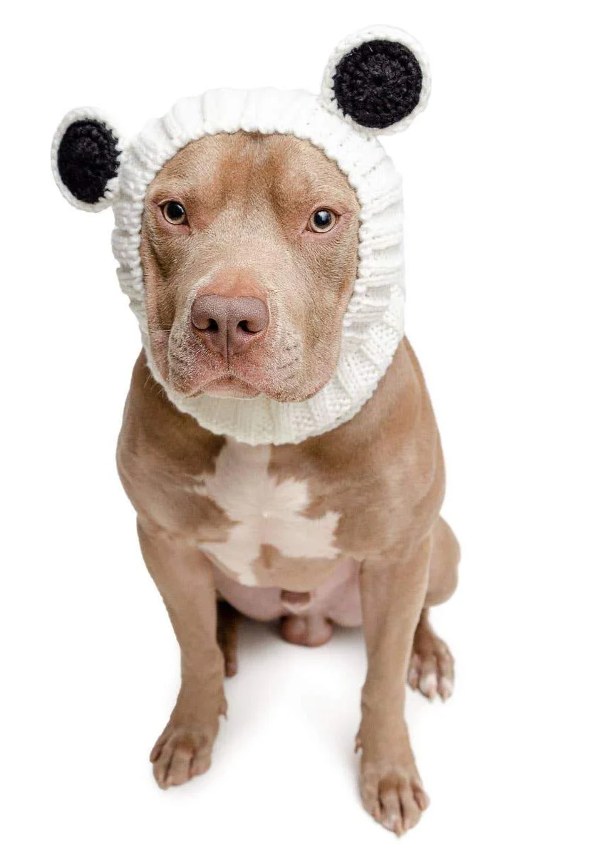 Knit Panda Dog Snood (FINAL SALE) - Image 7