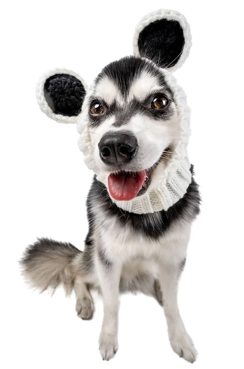 Knit Panda Dog Snood (FINAL SALE) - Image 8