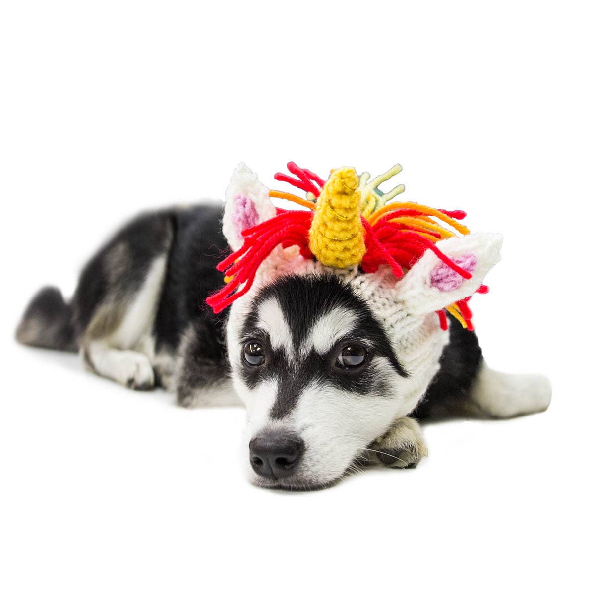 Knit Unicorn Dog Snood - Image 7