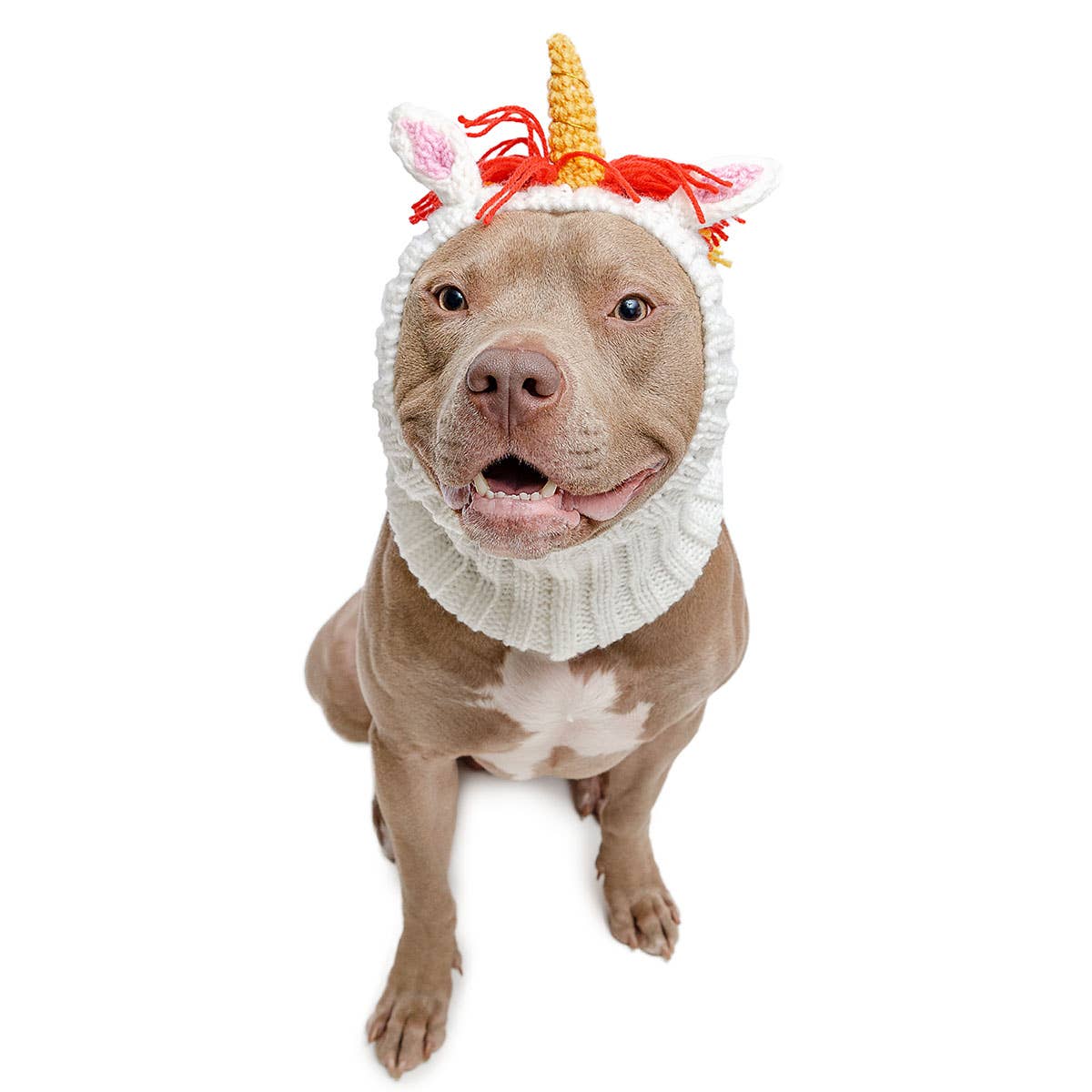 Knit Unicorn Dog Snood - Image 8